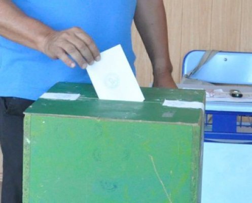 USL a decis cuplarea alegerilor europarlamentare cu referendumul pentru revizuirea Constituţiei